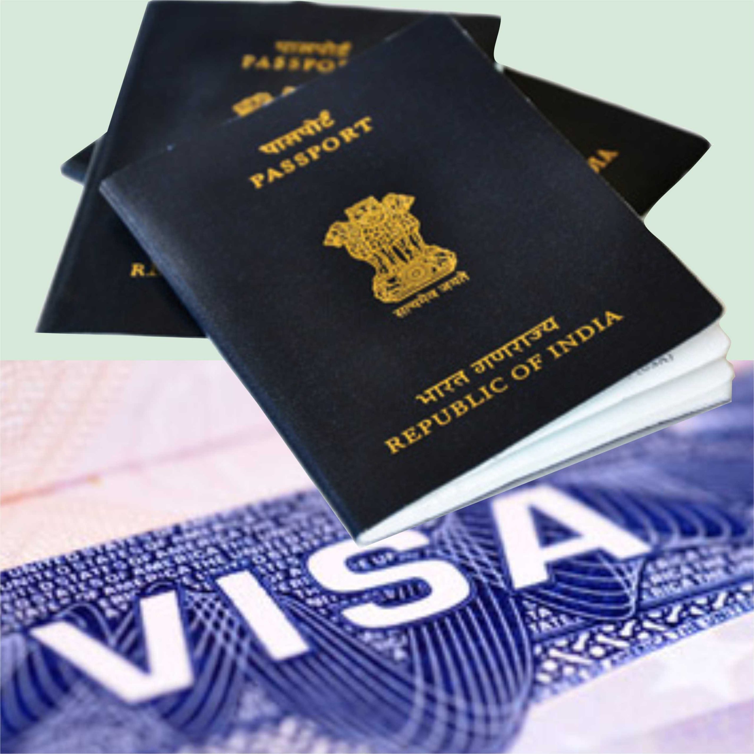 passport-and-visa-consulting-service